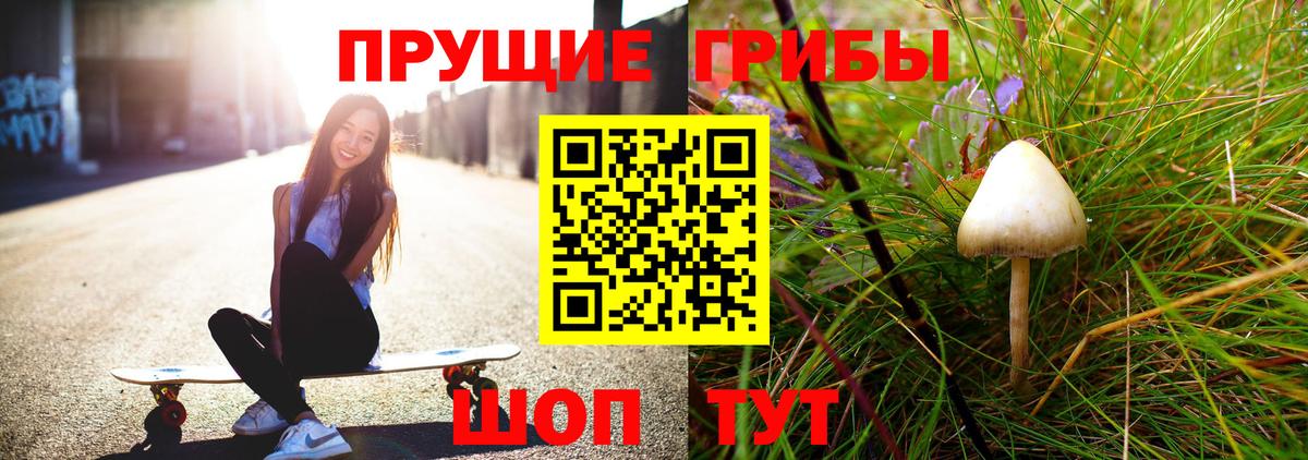 Галлюциногенные грибы мухоморы Тавда