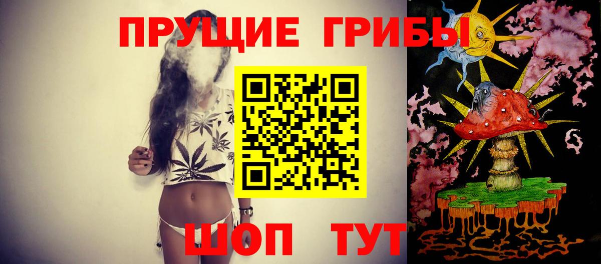 Псилоцибиновые грибы Psilocybe  Вход с VPN  сколько стоит  Тавда 
